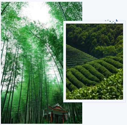 Traveling around Chongqing (Counties and Districts) – Yongchuan